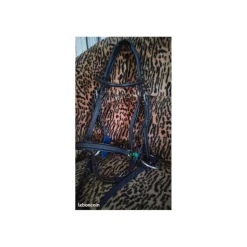 Muserolle CWD sellier Cheval filet equitation CSO bridon