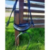 Muserolle dressage large Dyon