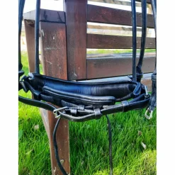 Muserolle dressage large Dyon