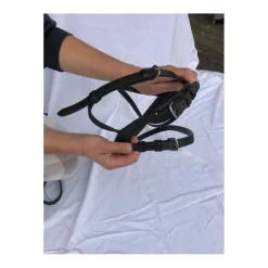MUSEROLLE en CUIR