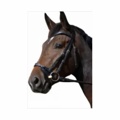 muserolle fautras astuces taille cheval