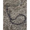 Nose band