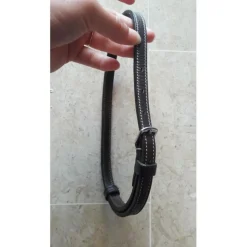 Nose band