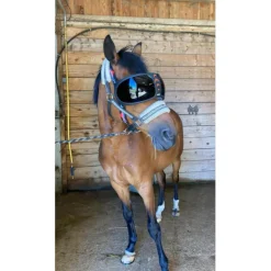 Pack Premium equidiva avec cache-oreilles + lunettes eVysor eQuick