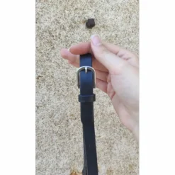 Paire de rênes
