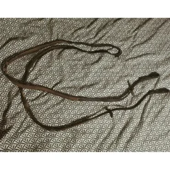 Paire de rênes "au cas où"