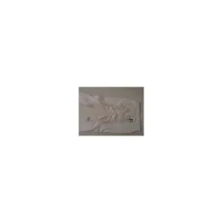PANTALON BLANC KINGSLAND