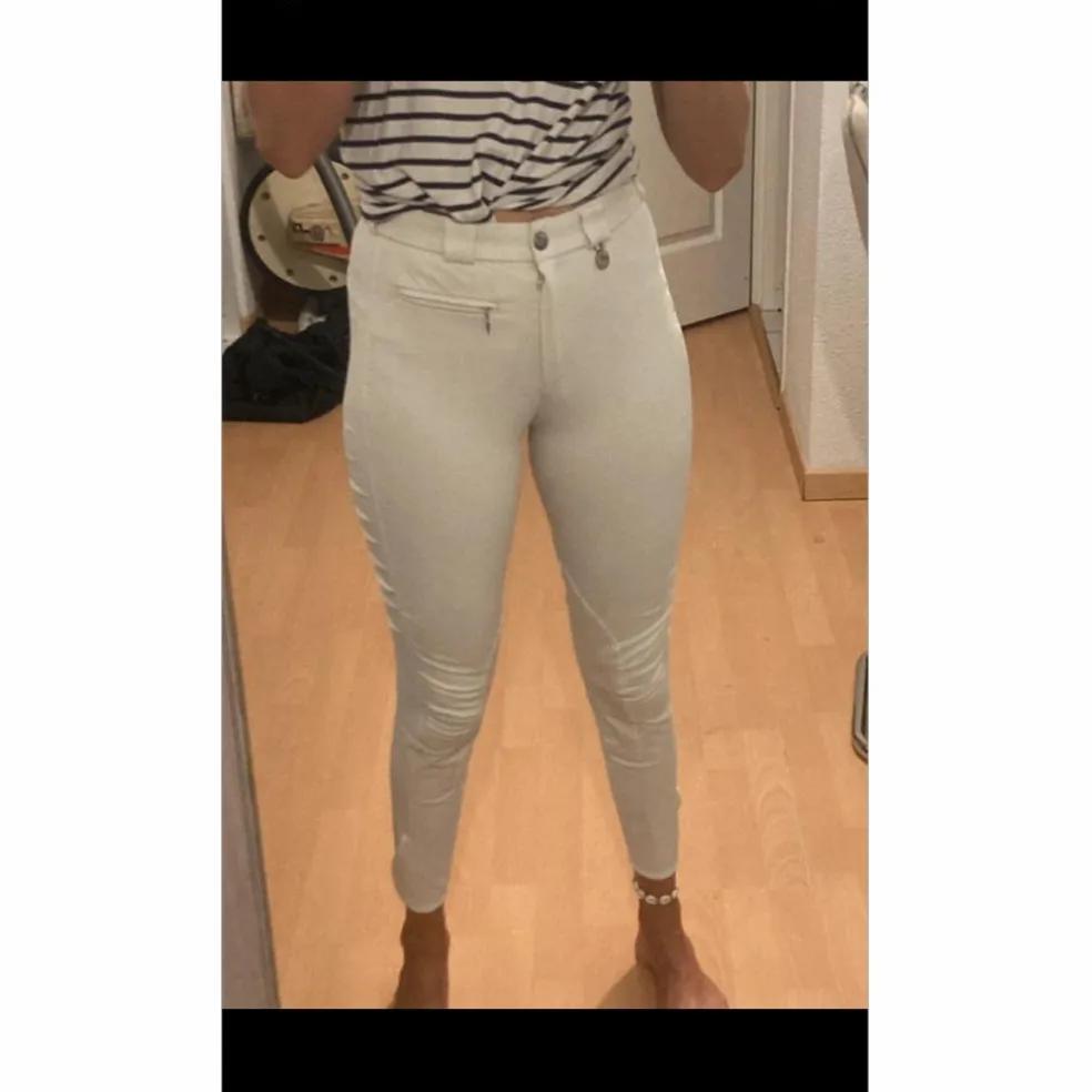 Pantalon de concours Pikeur