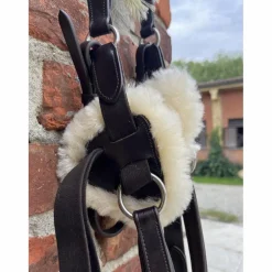 Pectoral