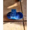 petite étrille bleue