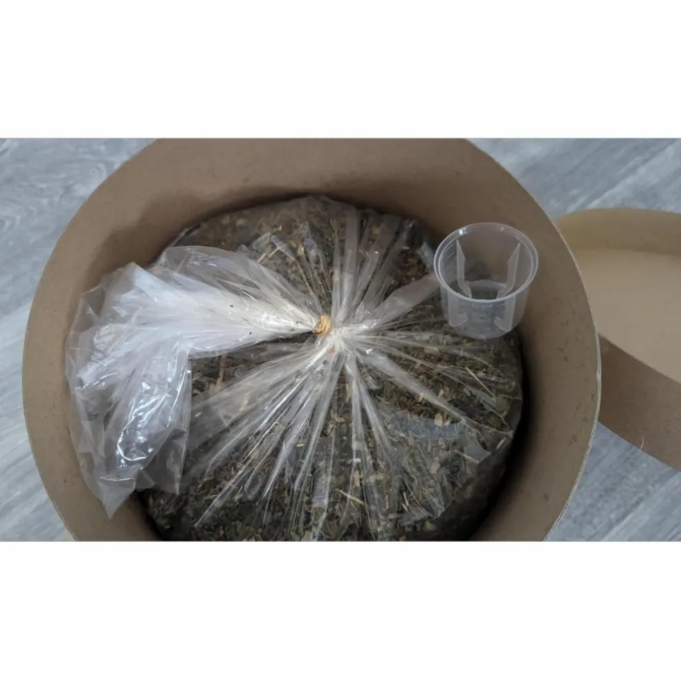 Phytomix Drainage + Phytology