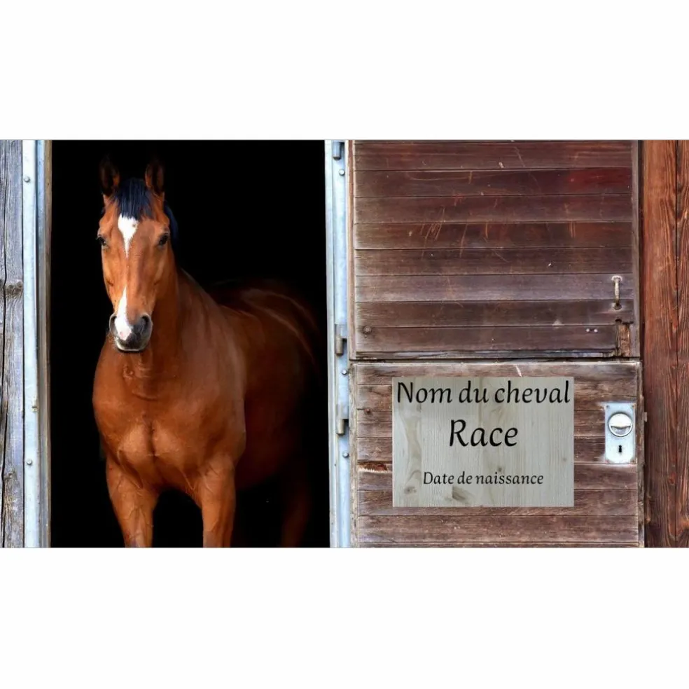 Plaque de Box personnalisée Nom du cheval + Race + Date de Naissance