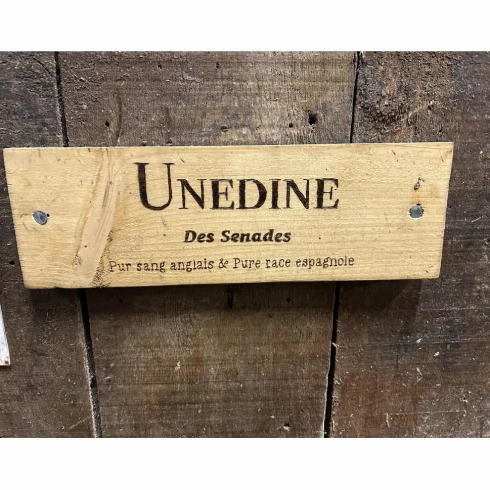 Plaque de box personnalisée Nom du cheval + Race