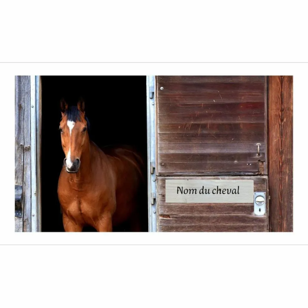 Plaque de box Personnalisée Nom du cheval