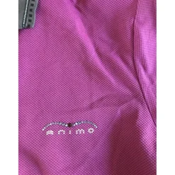 Polo animo