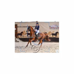 Polo de concours Animo