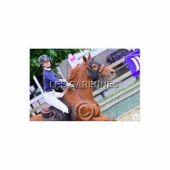 Polo de concours Animo