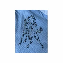 Polo de concours Animo à strass modèle Boccia