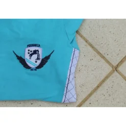Polo manches longues bleu ciel