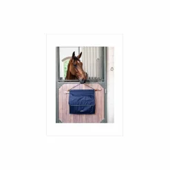 Porte accessoires de box (sac concours)
