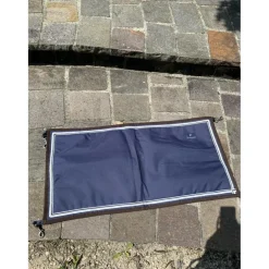 Porte de boxe Anna Scarpati