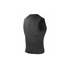 Protection dorsale Dainese