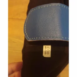 protection dressage