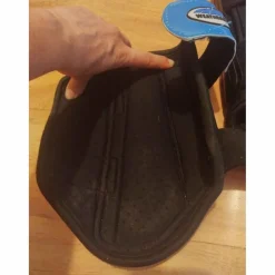protection dressage