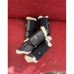 protection Lemieux