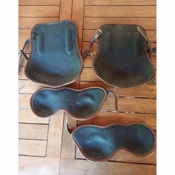 Protections CWD