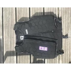Protège dos dainese