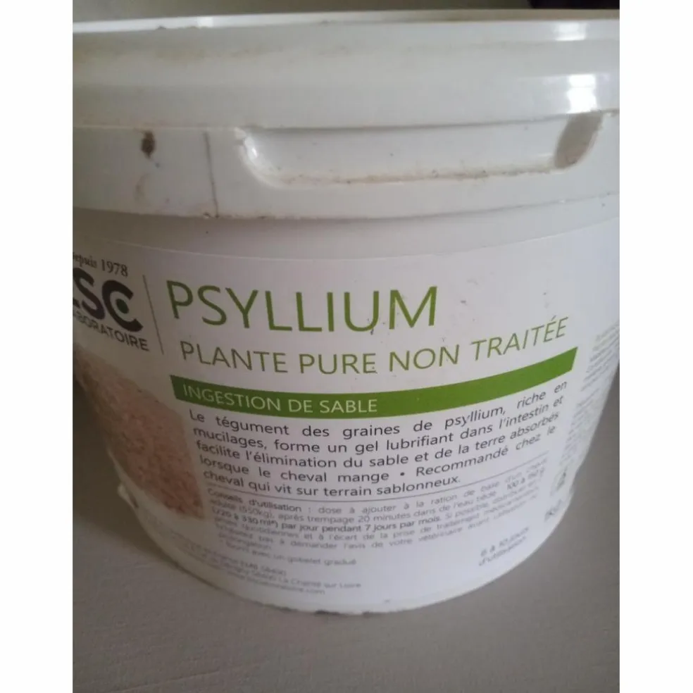 Psyllium