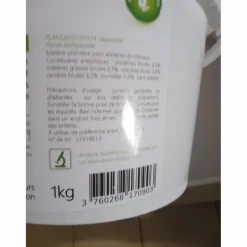 Psyllium