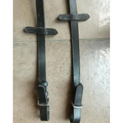 Rênes