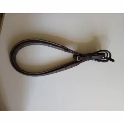 Rênes