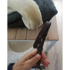 Rênes à poignees