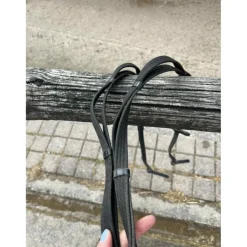 Rênes à poignées