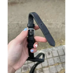 Rênes à poignées