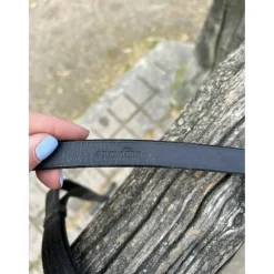 Rênes à poignées