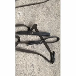 Rênes allemandes