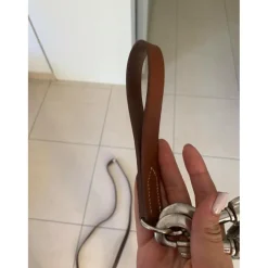 Rênes allemandes