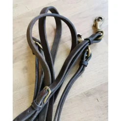 Rênes allemandes brunes