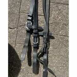 Rênes cheval