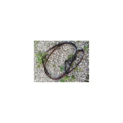 Rênes tissu marron