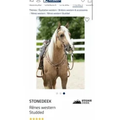Rênes western