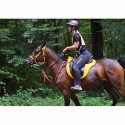 Rênes ZILCO endurance