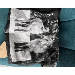 sac et brosses de pansage