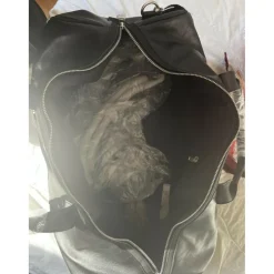 Sac grooming