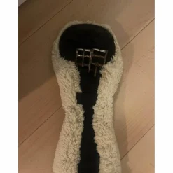 sangle Kentucky