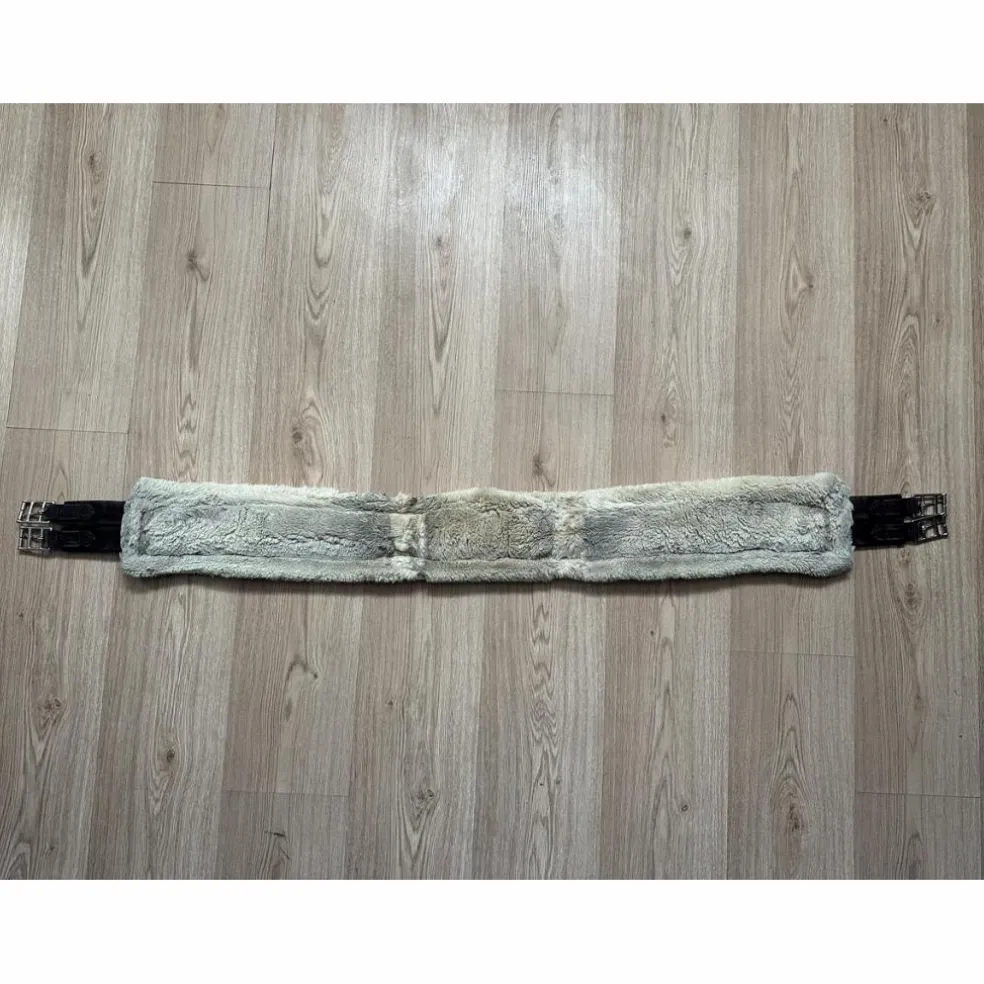 Sangle Kentucky mouton